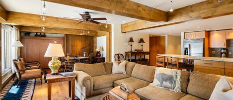 TV, fireplace, books, stereo