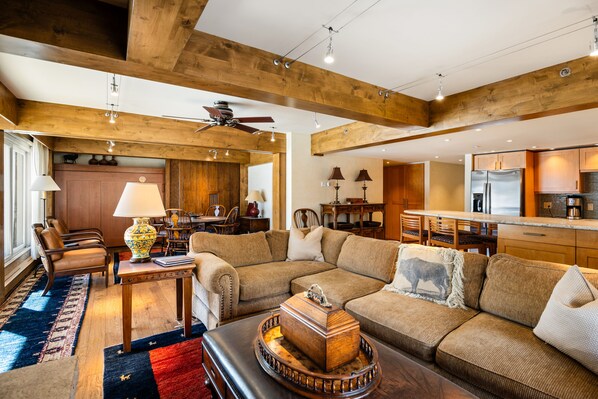 TV, fireplace, books, stereo
