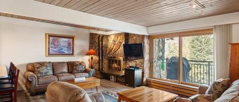 TV, fireplace, DVD player, books