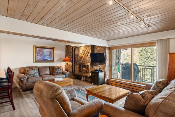 TV, fireplace, DVD player, books