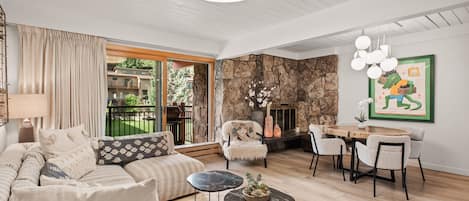 Fireplace, DVD player, books, video library