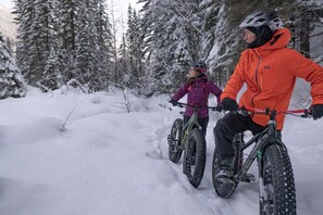 Snow and ski sports - On the Horizon | Slope-Side | Pets | Ground-Level (Panorama)