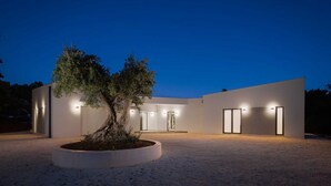 A modern building with a central tree in a circular planter, large windows, and exterior lighting. - Luxury Villa Mauve with Pool (Režanci)