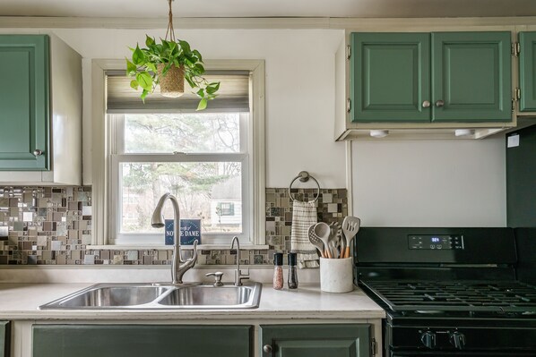 Una cocina con un lavamanos doble, una estufa y una planta colgante.