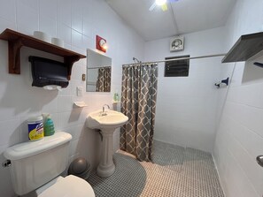 Un baño con inodoro, lavamanos, ducha y espejo.