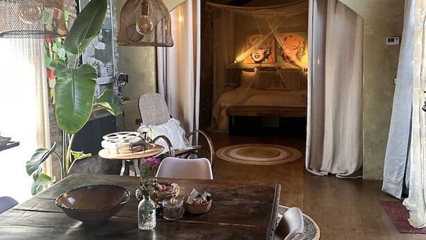 Een kamer met een bed, een eettafel, stoelen, een hanglamp en een grote plant.