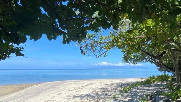 A beach with a clear view of the ocean, surrounded by trees and rocks. - Fare Pitate (Paea)