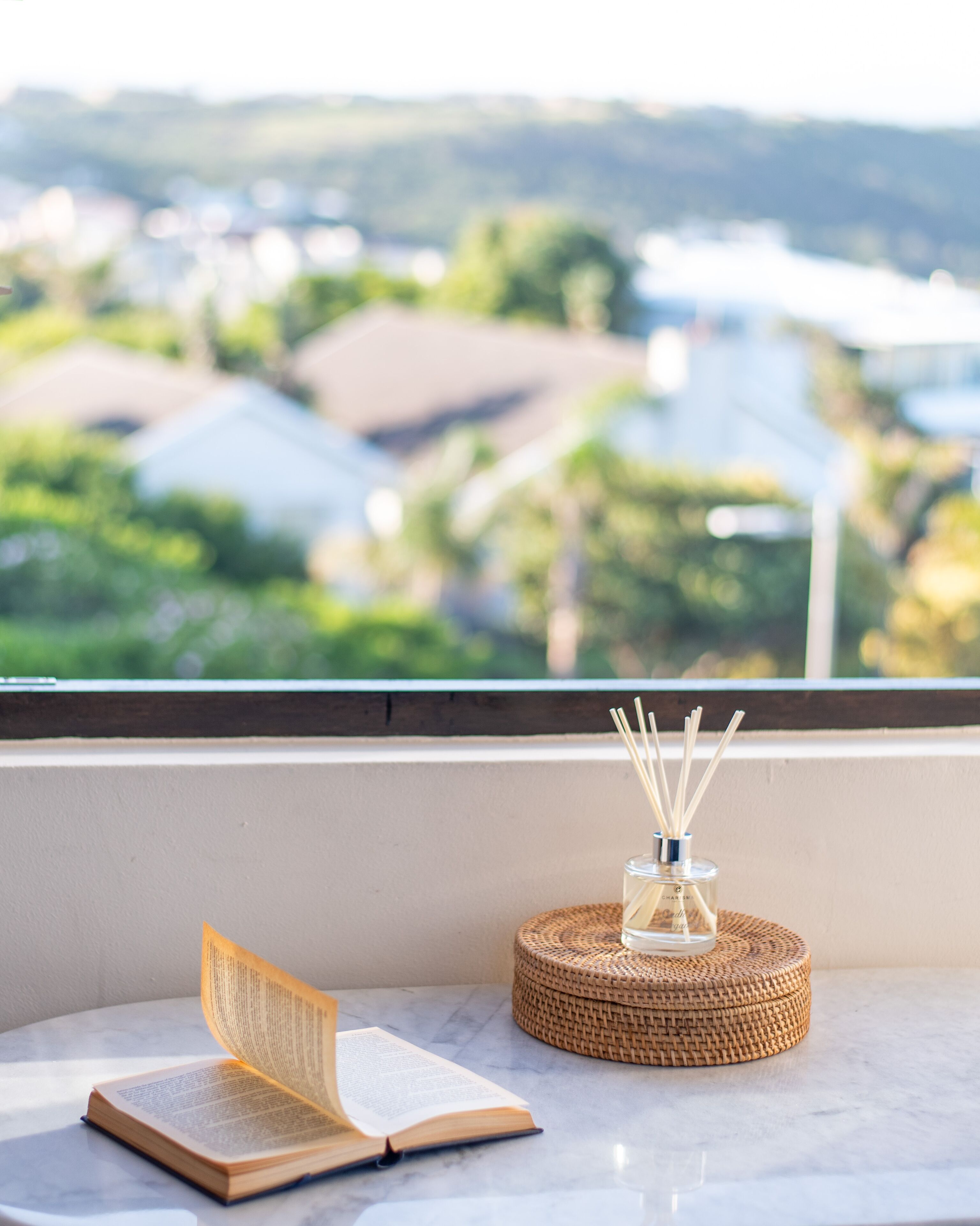 A view from a window with a book and reed diffuser on a table.