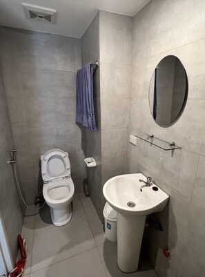 Shower, hair dryer, bidet, towels