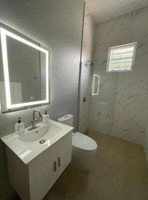 Regadera, secadora de cabello, toallas, jabón 