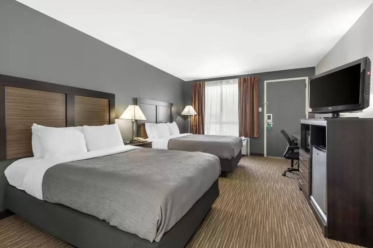 Desk, WiFi (free), bed sheets
