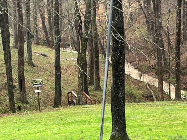 A forested area with a wooden bench and a signpost.