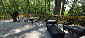 Outdoor dining - 5br, private beach, waterfront for year round fun. Close to Ski and trials. (Ossipee)