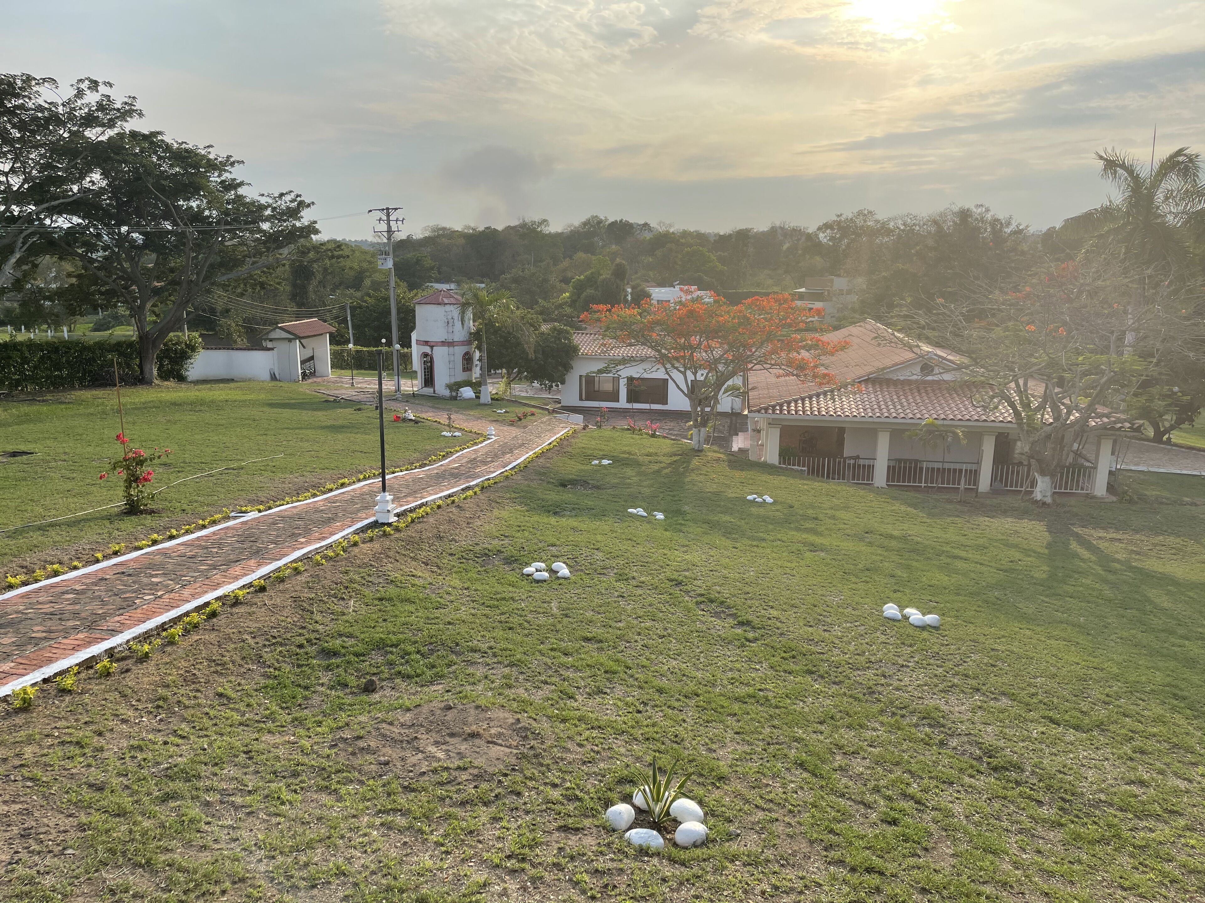 Un barrio residencial con un sendero pavimentado, un pequeño jardín y casas con techos de tejas.