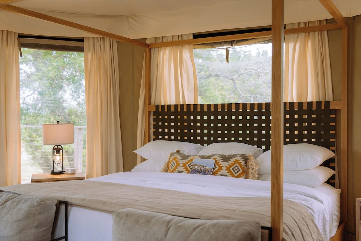 1 habitación, sábanas de algodón egipcio y ropa de cama de alta calidad