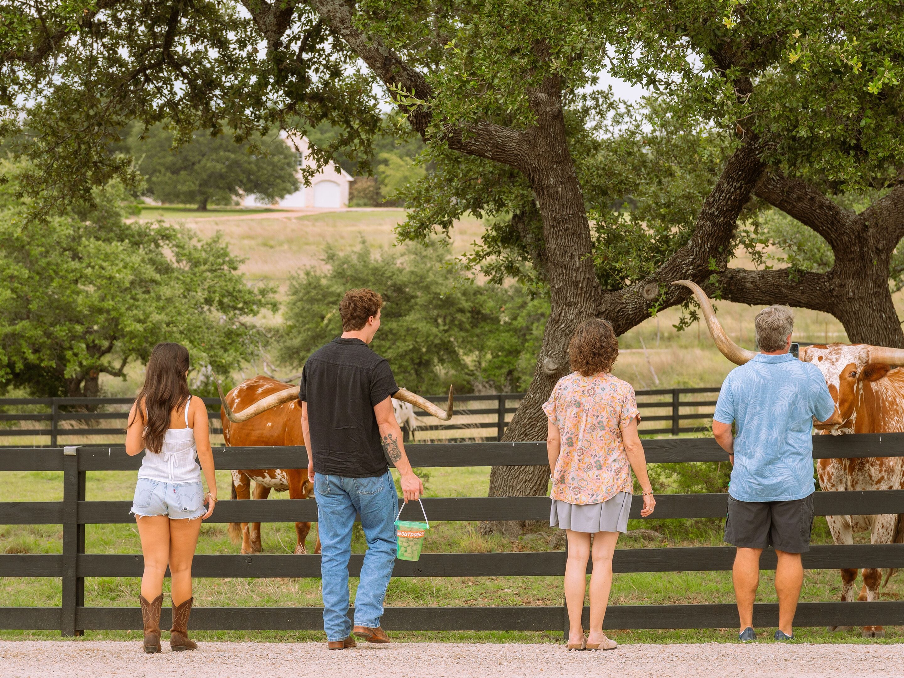 A group of people standing by a fence, observing cattle.