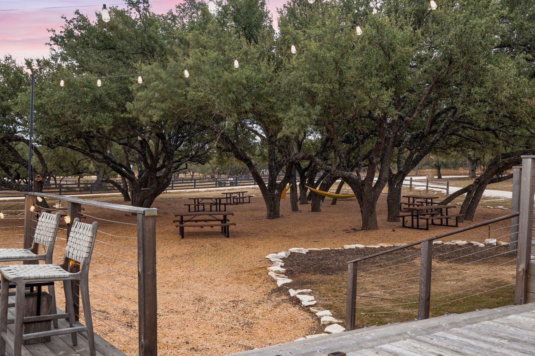 A park with picnic tables, benches, and string lights.