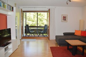 Fernseher, Bücher