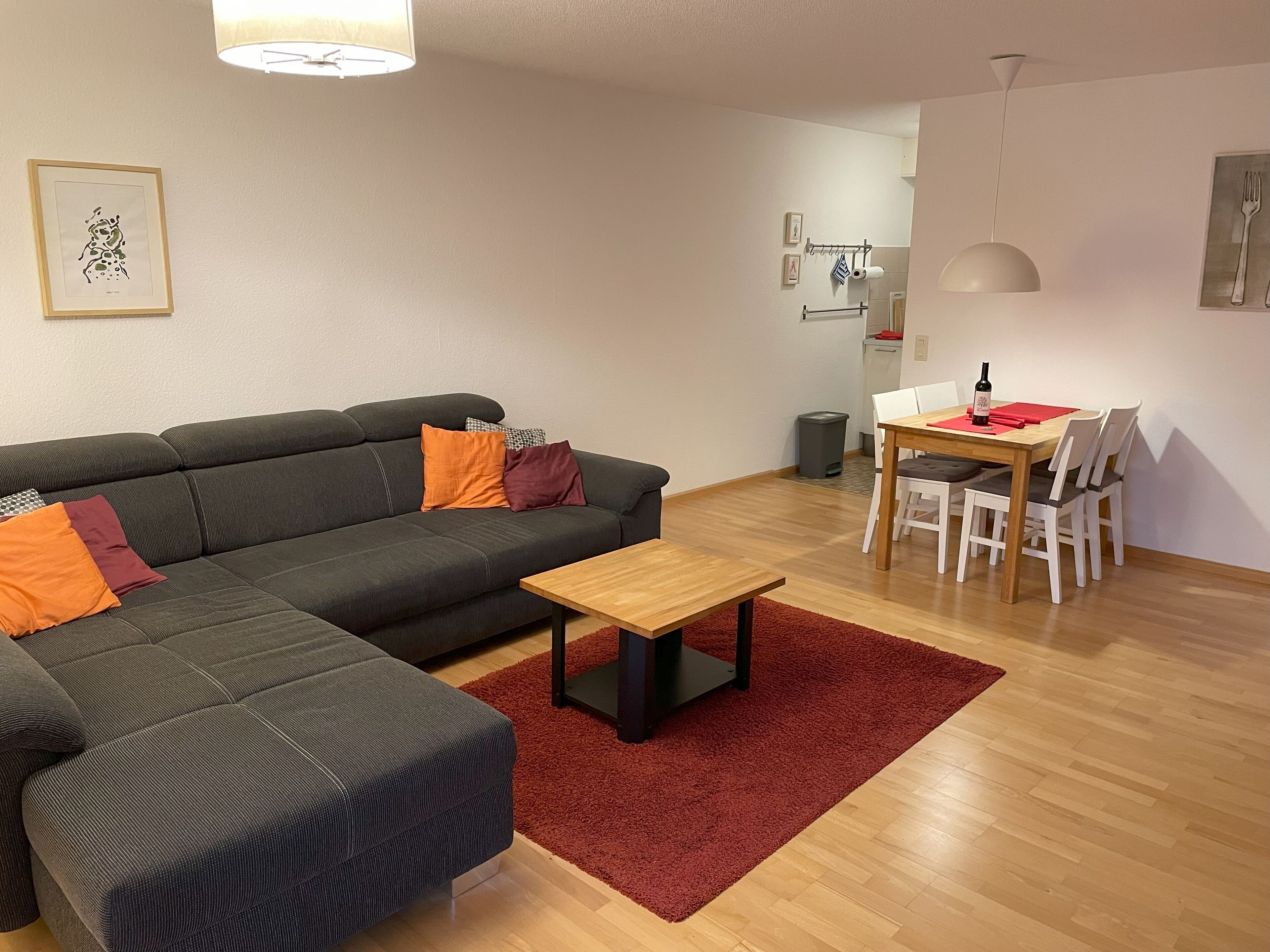 Fernseher, Bücher