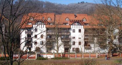 Ferienwohnung-Freiburg-Dreisam