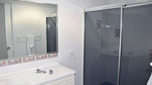 Bathroom features a sink, mirror, and shower area with a glass door.