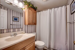 Sèche-cheveux, papier toilette