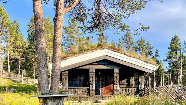 Una baita rustica con tetto spiovente, circondata da alberi alti e un prato.