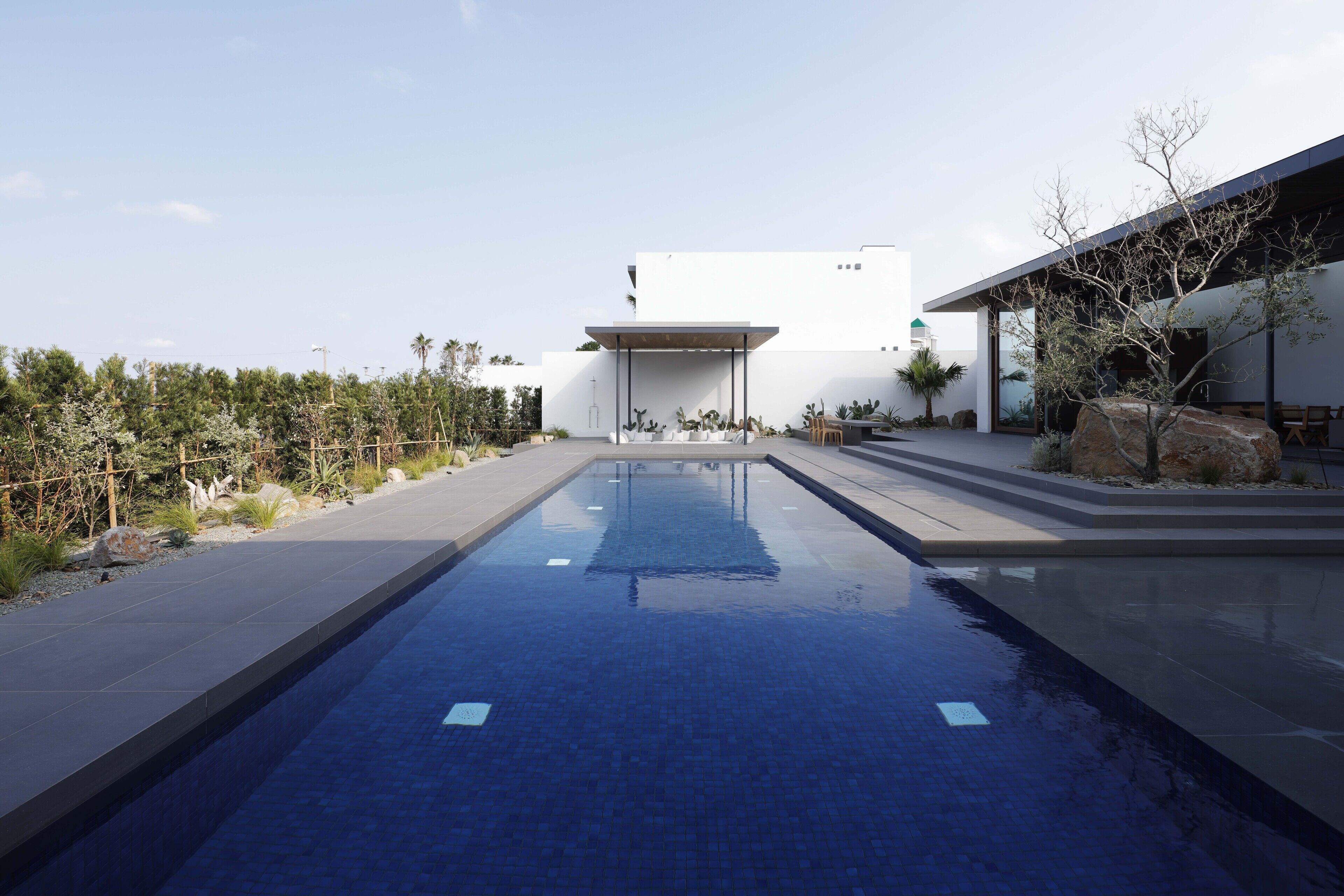 Un espace piscine extérieur moderne, avec une piscine à l’eau d’un bleu limpide, entourée d’un jardin aménagé et d’un bâtiment blanc doté d’un toit plat.