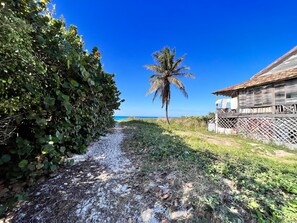 Beach nearby, white sand