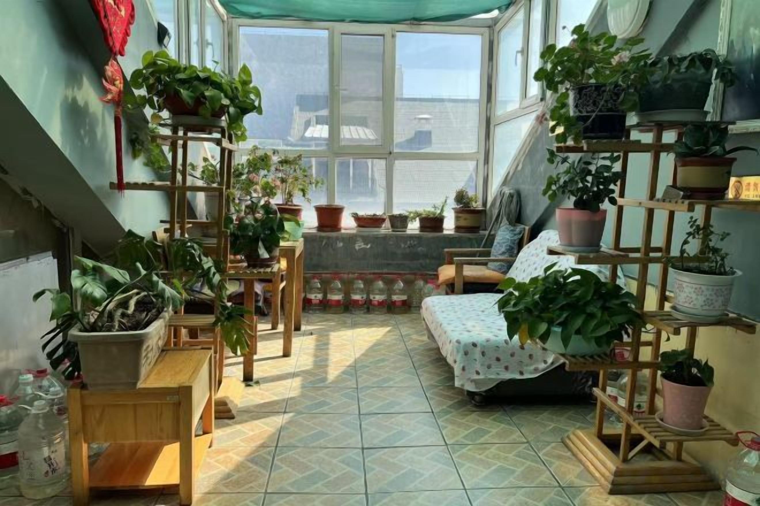 Una habitación iluminada por el sol con diversos maceteros, un banco de madera y un sofá.