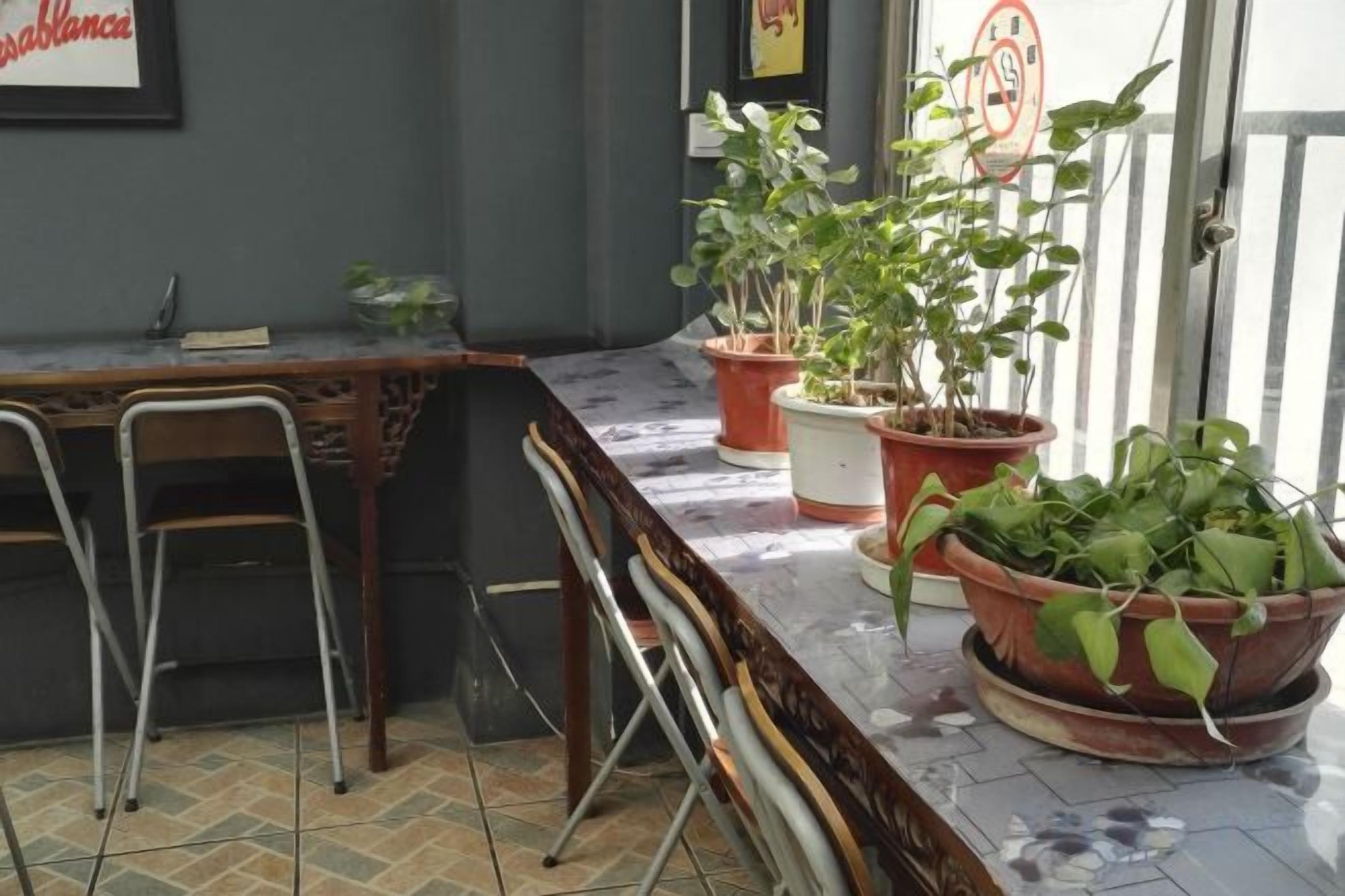 A bar area with a marble countertop, metal chairs, and potted plants.