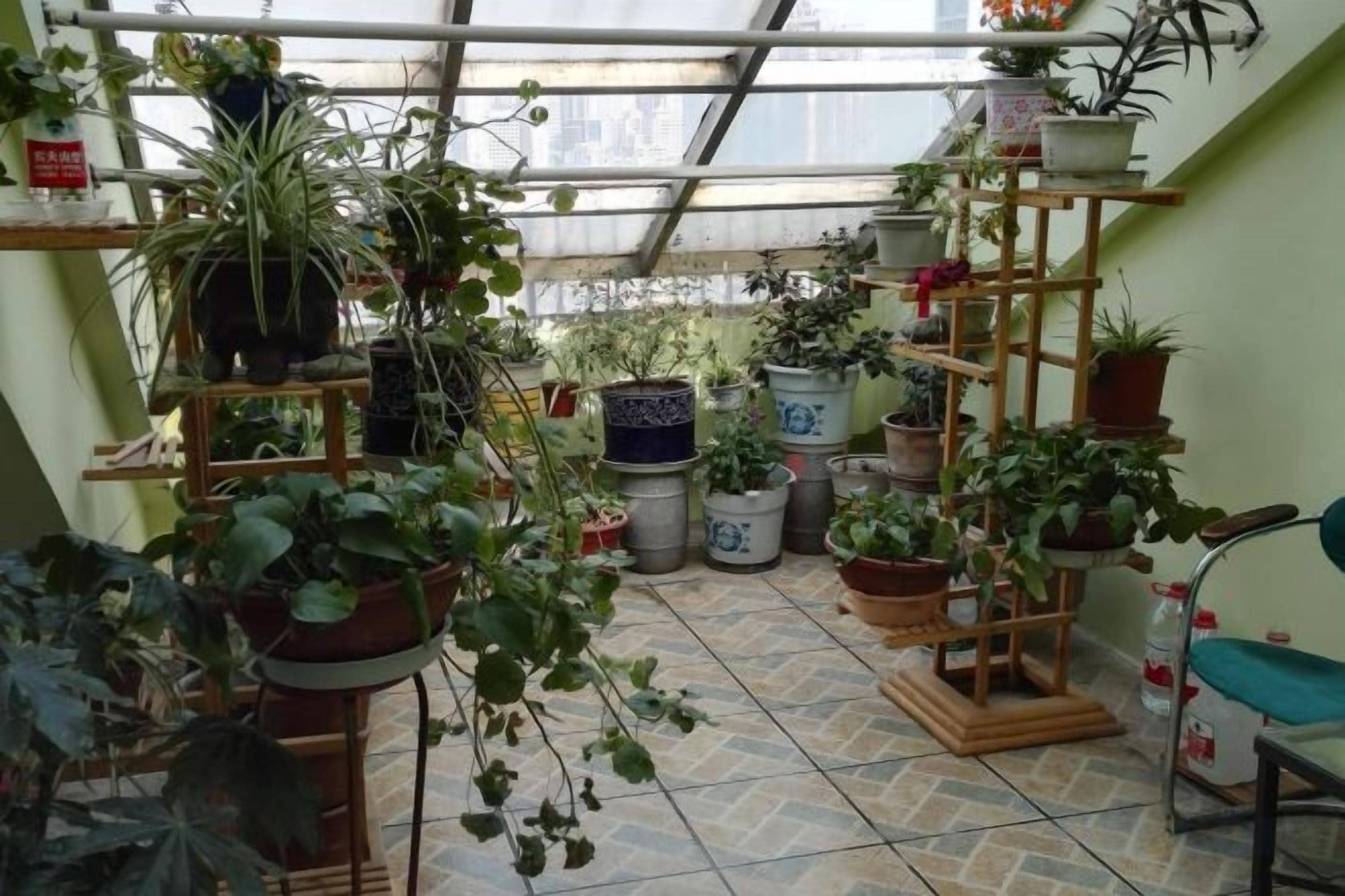 A greenhouse with various potted plants on shelves and tables.