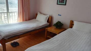 A room with two single beds, a wooden table with a plant, and a window with curtains.