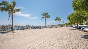 Une promenade en bord de mer, dallée, bordée de palmiers, avec des voitures garées et des bateaux en arrière-plan.