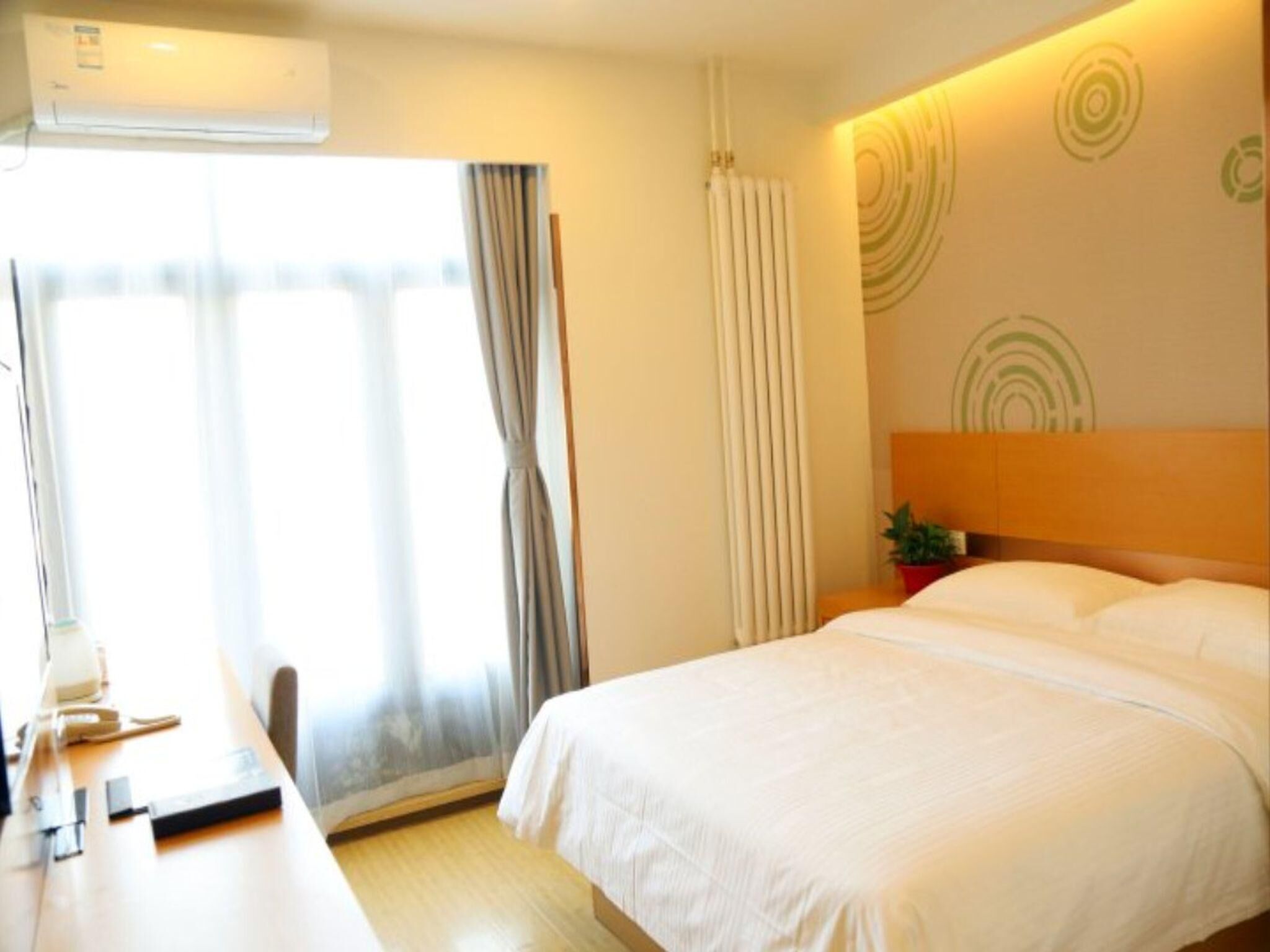 A hotel room with a bed, a desk, a potted plant, a radiator, and a window with curtains.