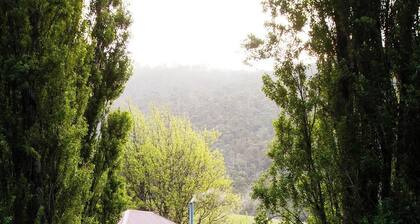 Magical Lucindale - Gorgeous 4 Bedroom House - Lucaston