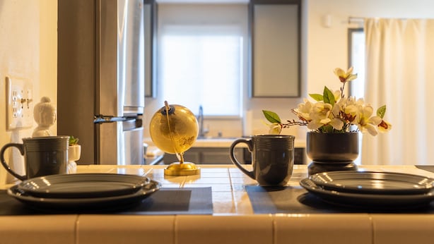 Uma bancada de cozinha com um globo, uma planta em vaso e uma caneca.