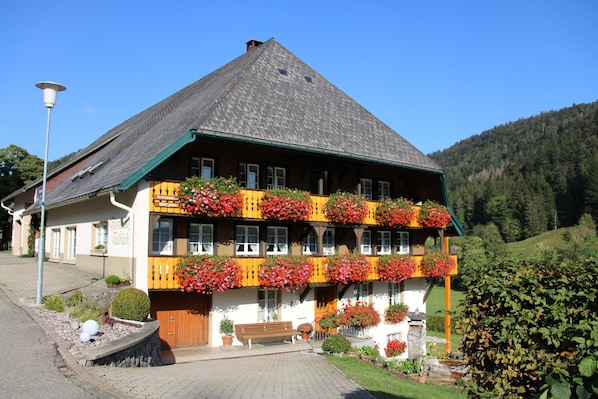 Esterni