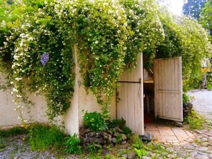 Property grounds - Yusunoki (Miyazaki)