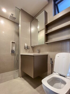 Douche, séchoir à cheveux, serviettes fournies, savon