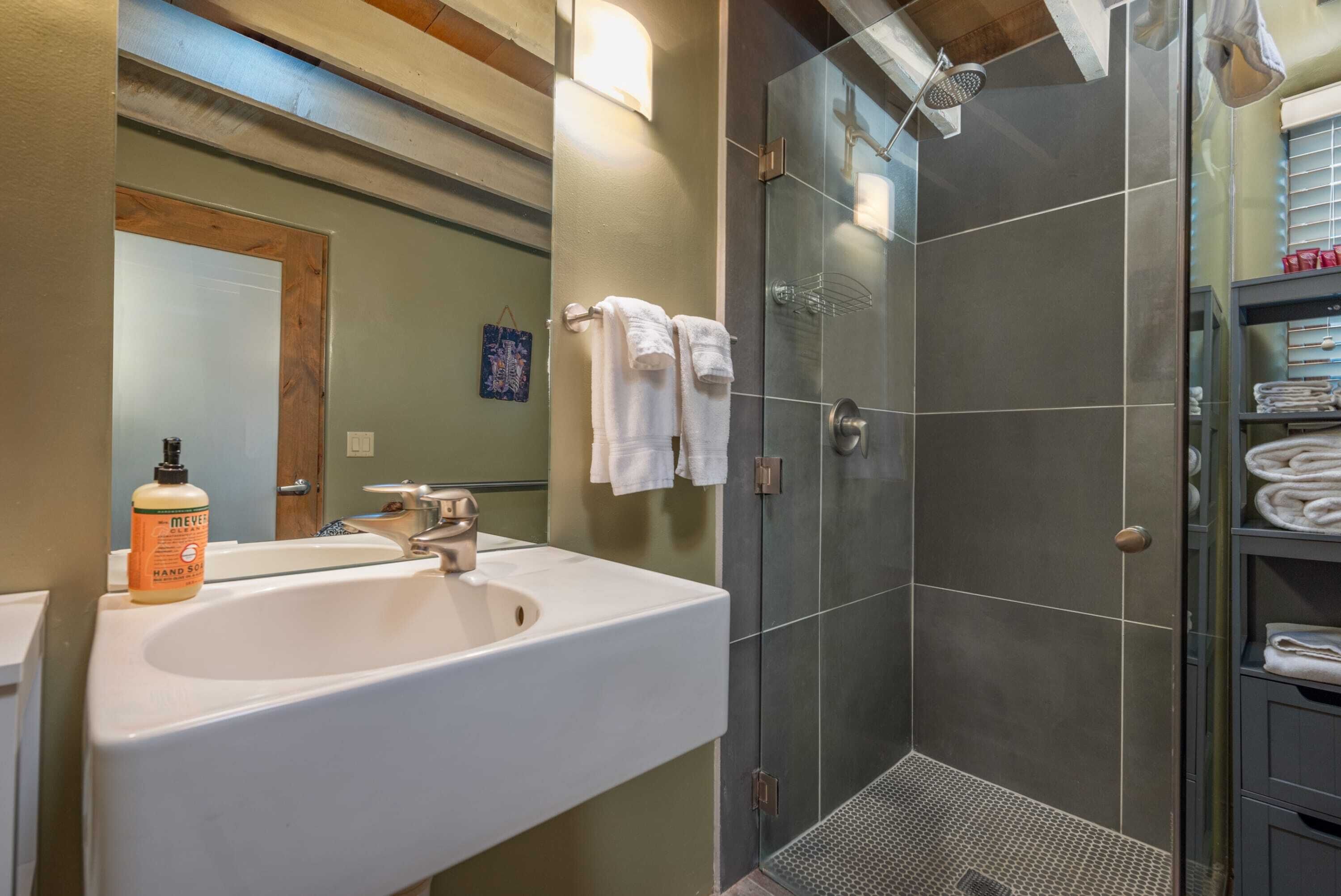 Shower, hair dryer, towels