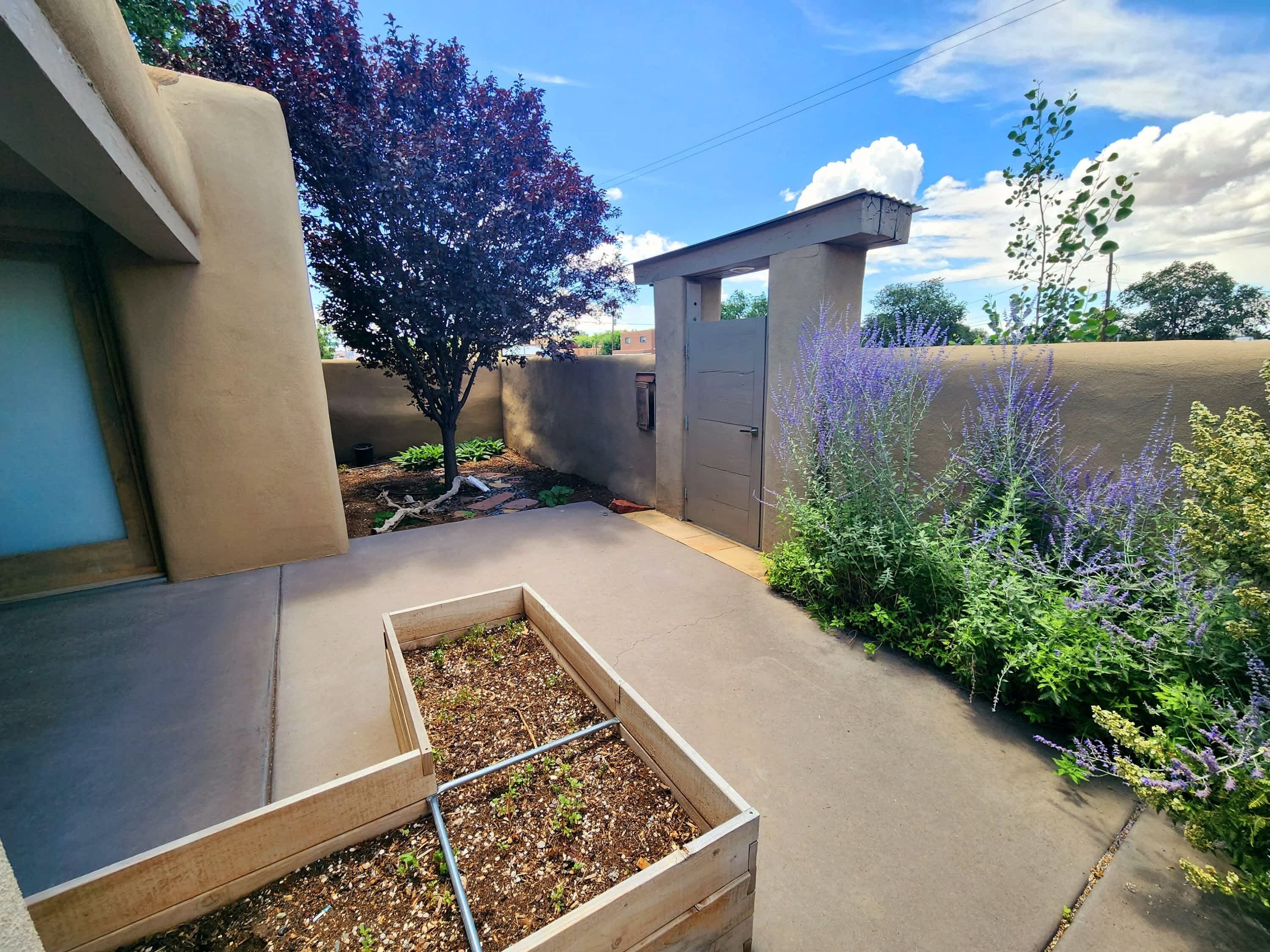 A garden with raised beds, a tree, and a concrete pathway.