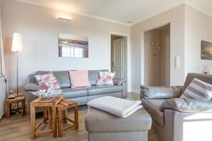 電視、DVD 播放機