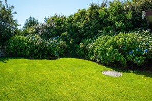 Área da propriedade