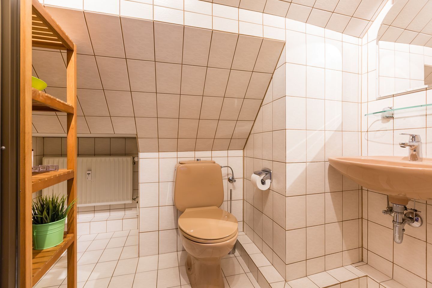 Un baño moderno con inodoro color crema, cabina de ducha con mampara de vidrio y repisa de madera con planta en maceta.