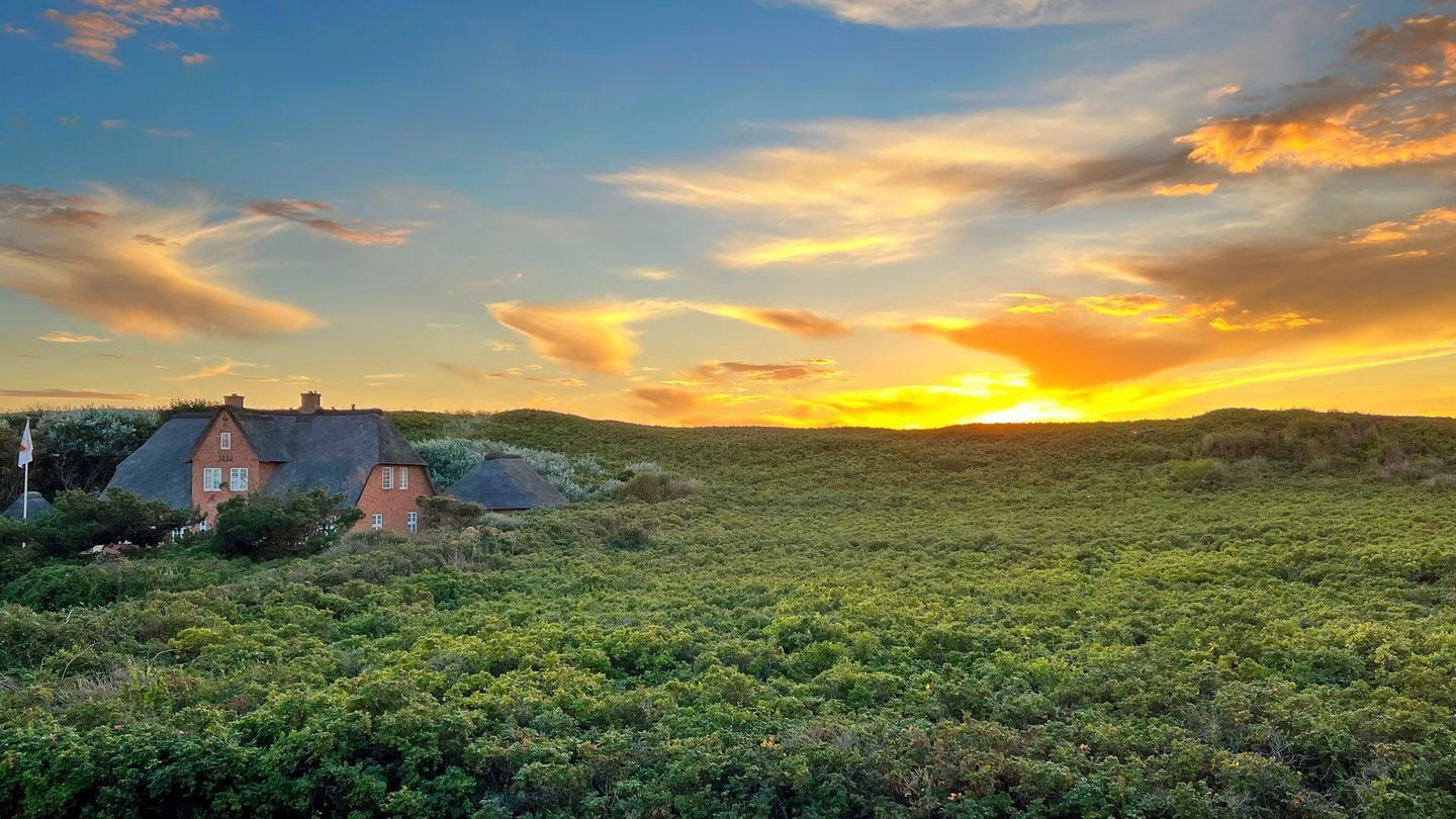 A house with a thatched roof and a red brick exterior, surrounded by dense greenery and a sunset in the background.