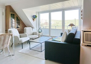 تلفزيون، مشغل دي في دي