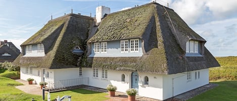 Eksteriør