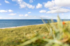 Une plage avec des dunes herbeuses et l’océan en arrière-plan.