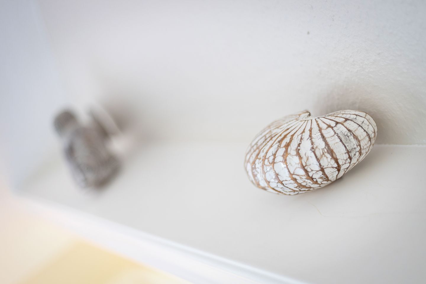 Innvendig detalj